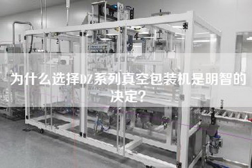 為什么選擇DZ系列真空包裝機是明智的決定？