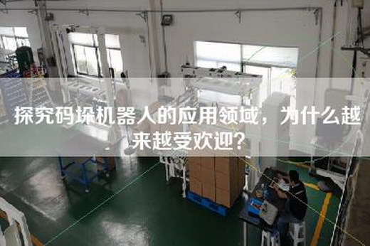 探究碼垛機器人的應用領域，為什么越來越受歡迎？