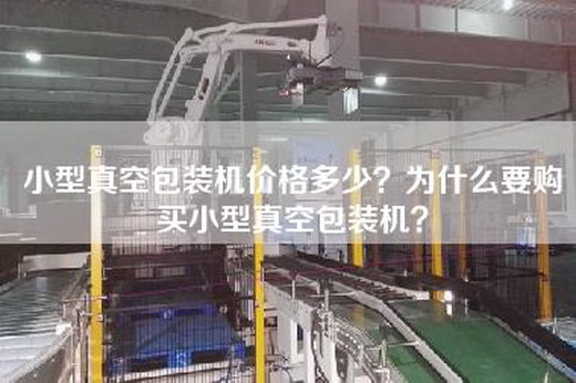 小型真空包裝機(jī)價(jià)格多少？為什么要購(gòu)買小型真空包裝機(jī)？