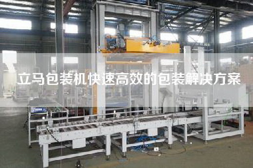 立馬包裝機(jī)快速高效的包裝解決方案