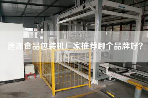 速凍食品包裝機廠家推薦哪個品牌好？