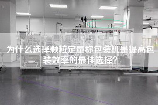 為什么選擇顆粒定量稱包裝機是提高包裝效率的最佳選擇？