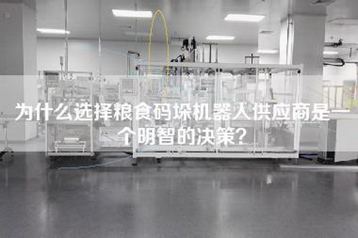 為什么選擇糧食碼垛機器人供應商是一個明智的決策？