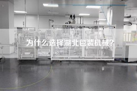 為什么選擇湖北包裝機械？