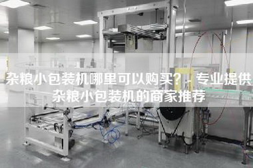 雜糧小包裝機哪里可以購買？- 專業(yè)提供雜糧小包裝機的商家推薦