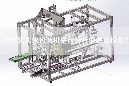 為什么大米包裝機是包裝行業必備設備？