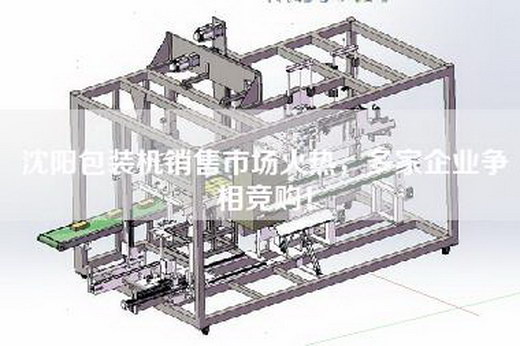 沈陽包裝機銷售市場火熱，多家企業爭相競購！