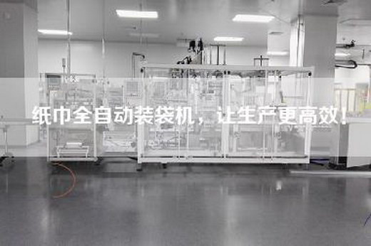 紙巾全自動裝袋機，讓生產更高效！