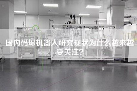 國內碼垛機器人研究現狀為什么越來越受關注？
