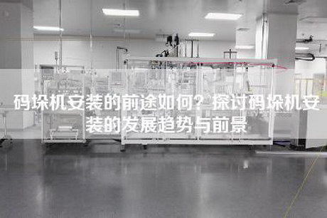 碼垛機安裝的前途如何？探討碼垛機安裝的發(fā)展趨勢與前景