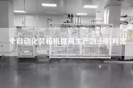 全自動化裝箱機提高生產效率的利器