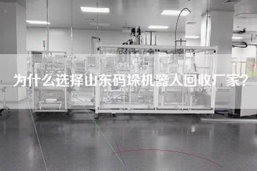 為什么選擇山東碼垛機(jī)器人回收廠家？