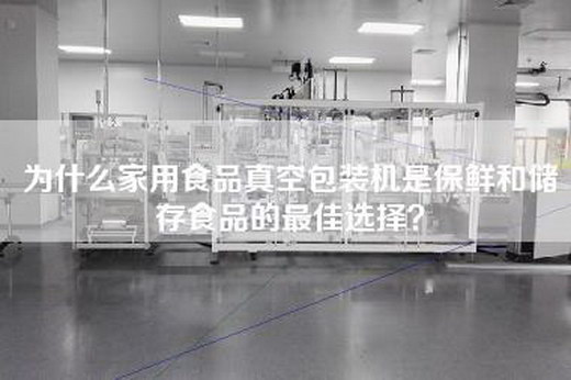 為什么家用食品真空包裝機是保鮮和儲存食品的最佳選擇？