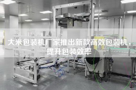 大米包裝機廠家推出新款高效包裝機，提升包裝效率