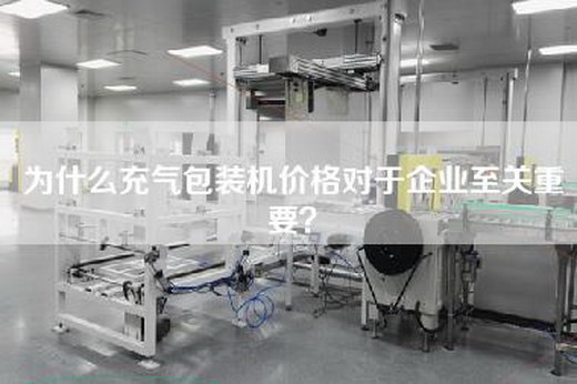為什么充氣包裝機(jī)價(jià)格對于企業(yè)至關(guān)重要？