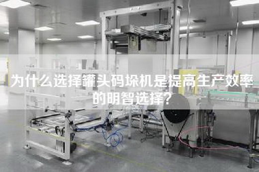 為什么選擇罐頭碼垛機是提高生產效率的明智選擇？