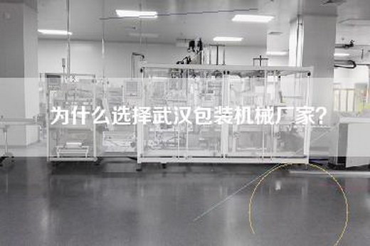 為什么選擇武漢包裝機(jī)械廠家？