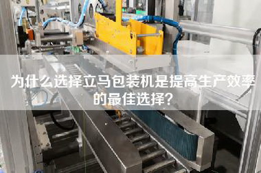 為什么選擇立馬包裝機(jī)是提高生產(chǎn)效率的最佳選擇? 為什么選擇立馬包裝機(jī)是提高生產(chǎn)效率的最佳選擇?