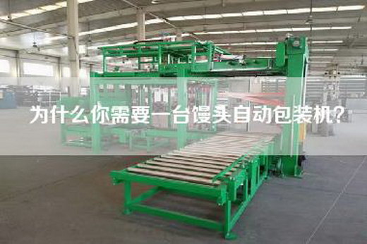 為什么你需要一臺饅頭自動包裝機? 為什么你需要一臺饅頭自動包裝機?