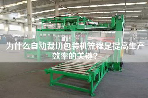 為什么自動裁切包裝機流程是提高生產效率的關鍵？
