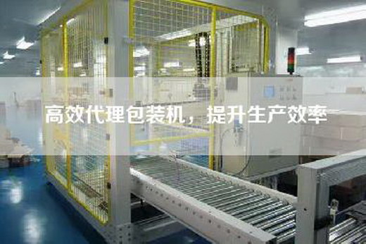高效代理包裝機，提升生產效率