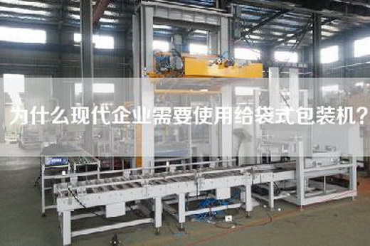 為什么現代企業需要使用給袋式包裝機? 為什么現代企業需要使用給袋式包裝機?