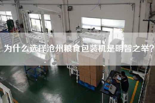為什么選擇滄州糧食包裝機是明智之舉? 為什么選擇滄州糧食包裝機是明智之舉?