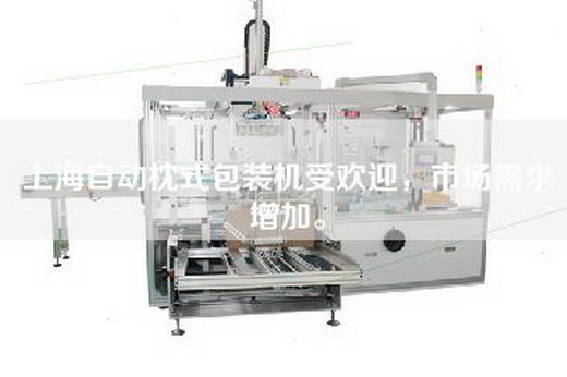 上海自動(dòng)枕式包裝機(jī)受歡迎,市場(chǎng)需求增加。 上海自動(dòng)枕式包裝機(jī)受歡迎,市場(chǎng)需求增加。