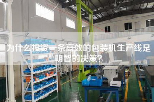為什么投資一條高效的包裝機(jī)生產(chǎn)線是明智的決策？