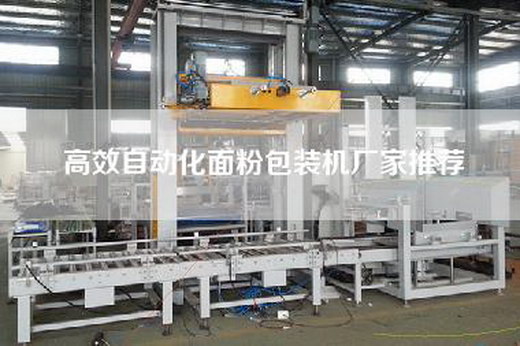 高效自動(dòng)化面粉包裝機(jī)廠家推薦