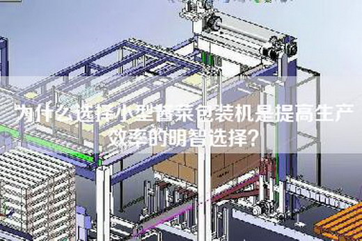 為什么選擇小型醬菜包裝機是提高生產(chǎn)效率的明智選擇？