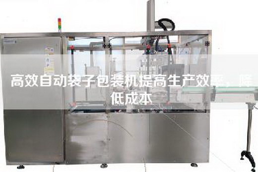 高效自動袋子包裝機提高生產效率，降低成本