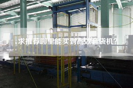 求推薦哪里能買到高效套袋機？