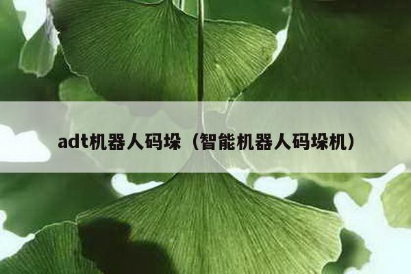 adt機(jī)器人碼垛(智能機(jī)器人碼垛機(jī))