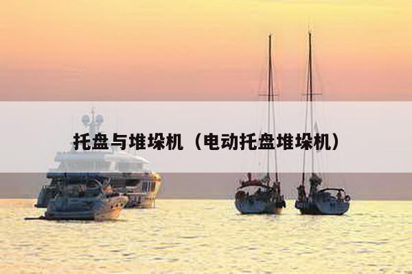 托盤與堆垛機(電動托盤堆垛機)