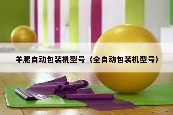 羊腿自動包裝機型號(全自動包裝機型號)