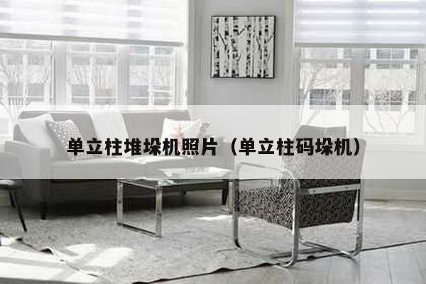 單立柱堆垛機照片(單立柱碼垛機)