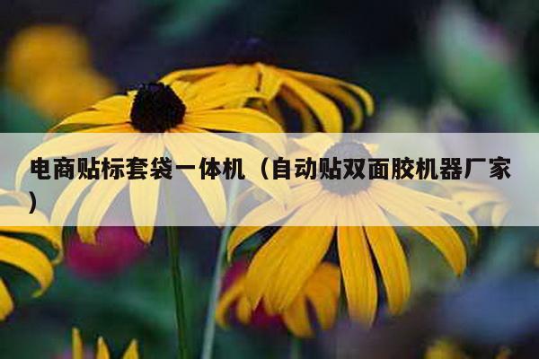 電商貼標套袋一體機(自動貼雙面膠機器廠家)