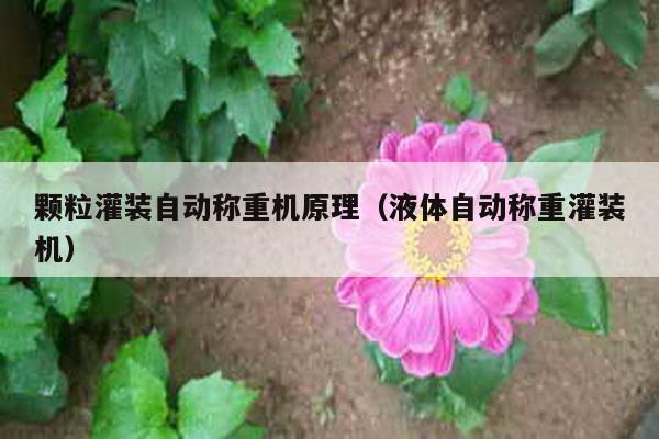 顆粒灌裝自動稱重機原理(液體自動稱重灌裝機)