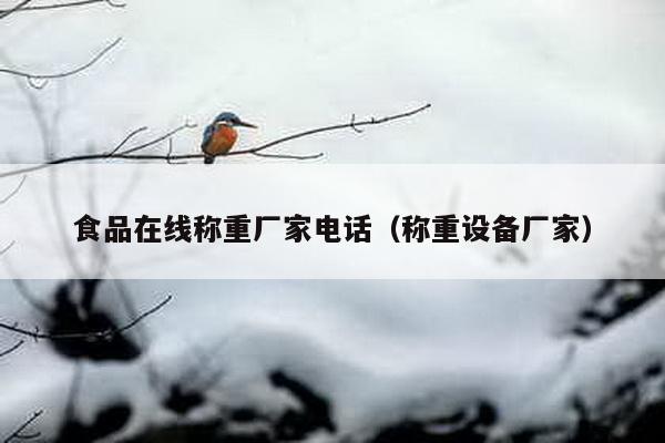 食品在線稱重廠家電話(稱重設備廠家)