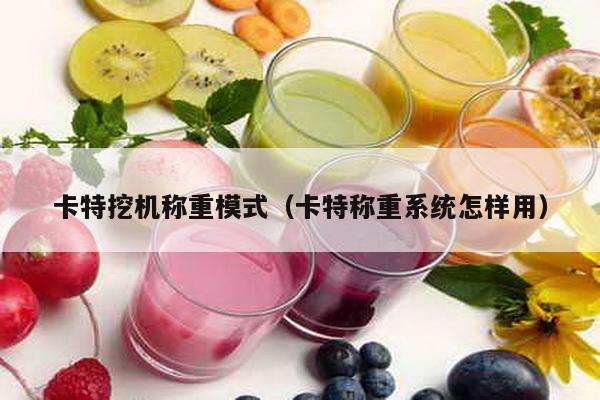 卡特挖機稱重模式(卡特稱重系統怎樣用)