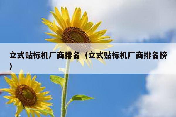立式貼標機廠商排名(立式貼標機廠商排名榜)